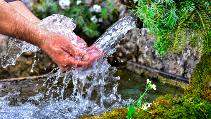 spring water  Best Water Solutions in Gainesville, Ocala and North Florida